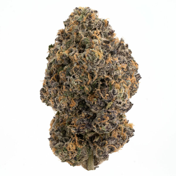 Buy BOLO Runtz Strain Online